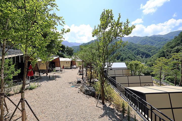 [강원도 양양군] 윈드밸리 야영장
