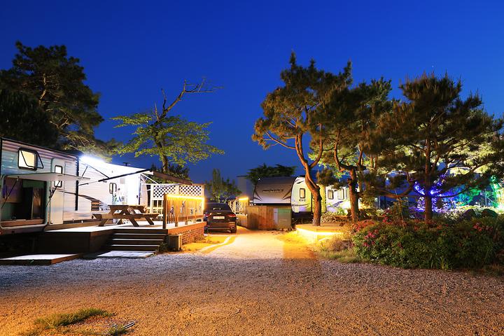 [강원도 강릉시] 와우파크 – 조용하면서도 아늑한 사천진 카라반