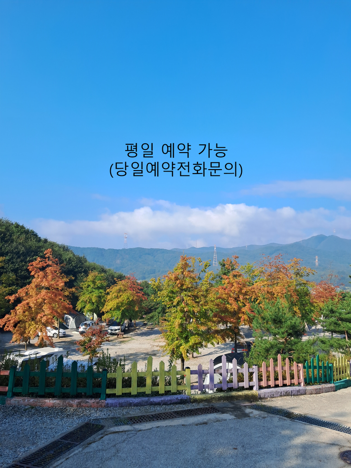 [경기도] 단풍숲캠핑장 – 아름다운 자연과 쾌적함이 공존하는 곳, 단풍숲캠핑장