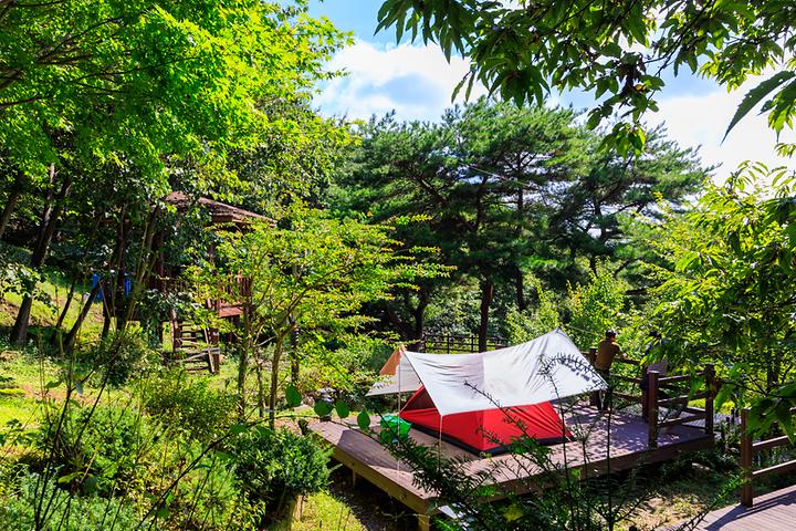 [경상북도 경산시] 팔공산국립공원 갓바위야영장 – 자연 그대로를 만끽할 수 있는 곳
