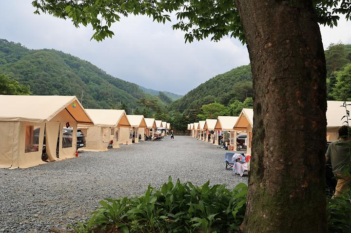 [강원도 원주시] 키즈락 캠핑장 – 서마니강변에 위치한 어린이를 위한 놀이형 캠핑장