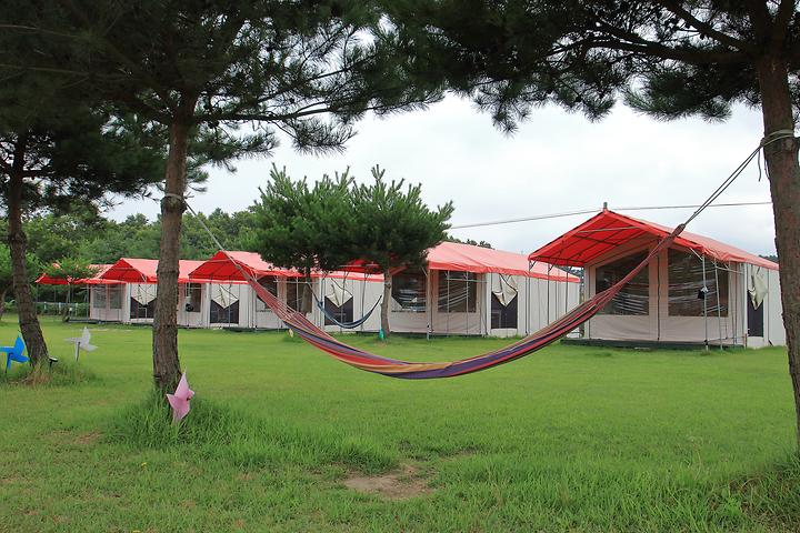 [충청남도 태안군] 파라독스 애견펜션 / 돔글램핑&오토캠핑장 – 드넓은 잔디밭에 펼쳐진 반려견 전용 글램핑