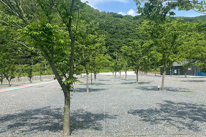 [경상북도 경주시] 별빛 은하수 캠핑장 – 대형 수영장이 돋보이는 오토캠핑장