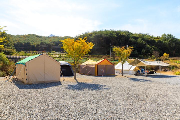 [경상북도 상주시] 속리산365캠핑장