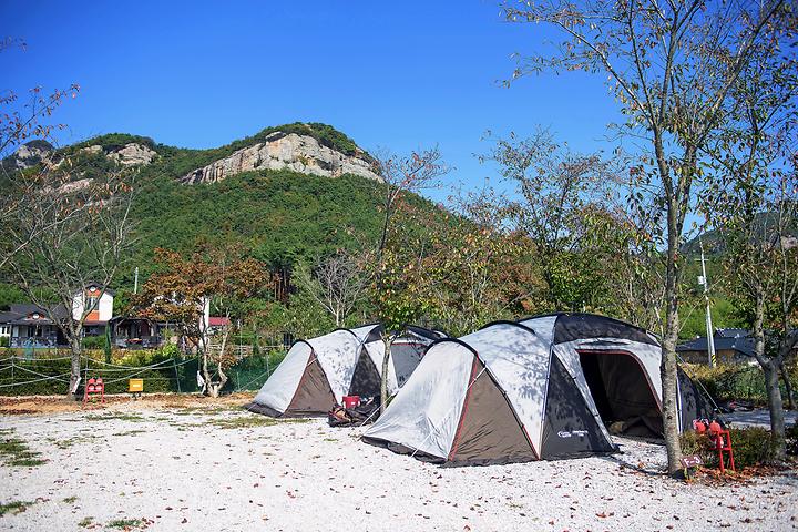 [전라북도 부안군] 내소힐링캠프 – 탐스러운 과일을 따먹고 조개도 캘 수 있는 캠핑을 즐기자