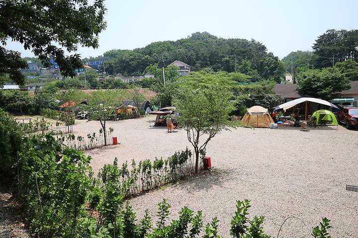 [인천광역시 옹진군] 영흥도십리포캠핑장 – 십리포 해수욕장 초입 소나무 숲속 야영장