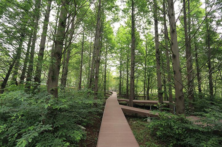 [경상북도 경주시] 노꼬담꼬 – 깊은 산속 자연친화적 글램핑과 오토캠핑장
