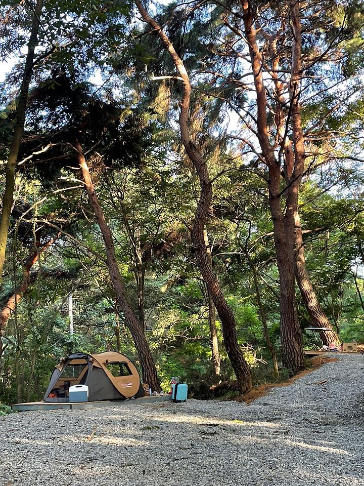 [경상북도 문경시] 우니메이카 문경점 – 숲속의 자연적인 그늘이 훌륭한 캠핑장