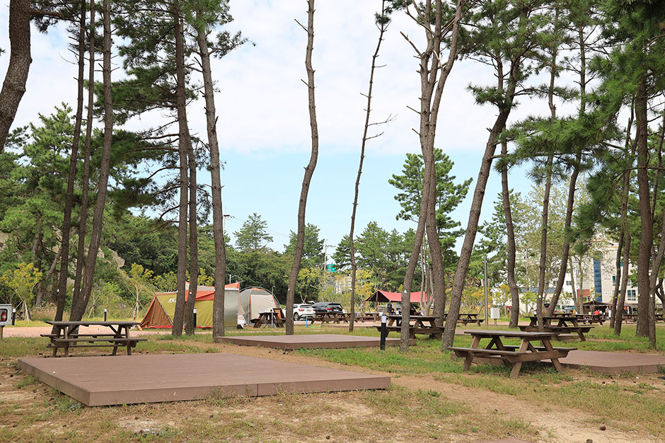 간절곶캠프야영장