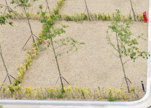 화순 고인돌 오토캠핑장 10번째 이미지